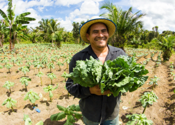 Amazonas avança na regulamentação de política estadual de apoio ao cooperativismo 2 Amazonas avança na regulamentação de política estadual de apoio ao cooperativismo