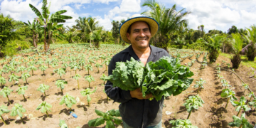 Amazonas avança na regulamentação de política estadual de apoio ao cooperativismo 8 Amazonas avança na regulamentação de política estadual de apoio ao cooperativismo