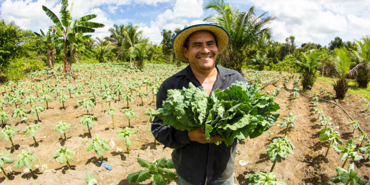 Amazonas avança na regulamentação de política estadual de apoio ao cooperativismo 1 Amazonas avança na regulamentação de política estadual de apoio ao cooperativismo