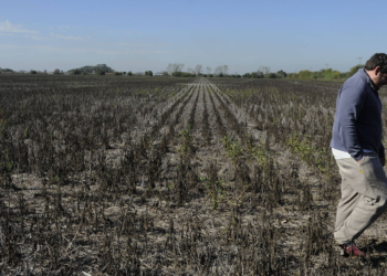 Seguro rural ganha força diante da crescente instabilidade climática