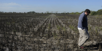 Seguro rural ganha força diante da crescente instabilidade climática