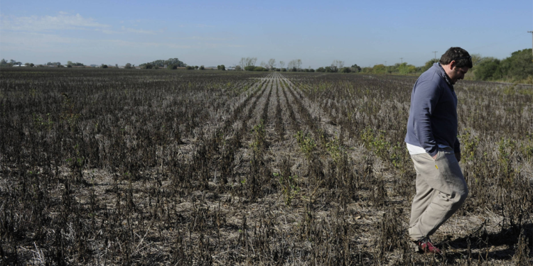 Seguro rural ganha força diante da crescente instabilidade climática