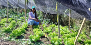 Nova geração aposta em diversificação para garantir renda e permanência no campo