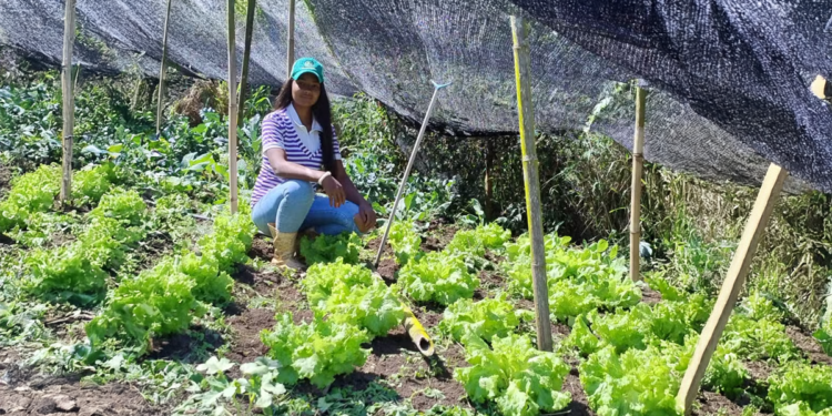 Nova geração aposta em diversificação para garantir renda e permanência no campo