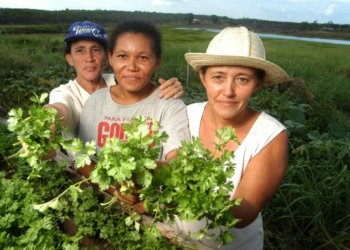 BNDES reduz taxa de juros em empréstimos para mulheres de cooperativas