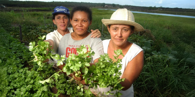 BNDES reduz taxa de juros em empréstimos para mulheres de cooperativas