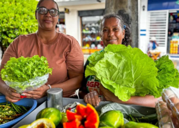 Entra em vigor lei que amplia garantias para financiamentos do Pronaf
