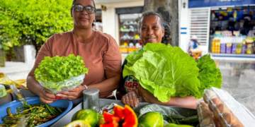Entra em vigor lei que amplia garantias para financiamentos do Pronaf