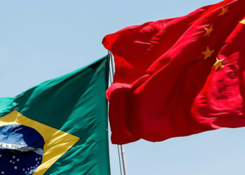 Brasil e China avançam em plataforma de cadeias verdes