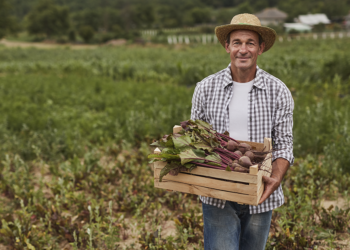 Crédito rural entra em novo patamar com fiscalização por sensoriamento remoto e impedimentos socioambientais