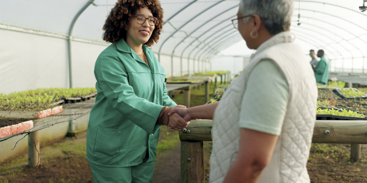Sicredi reforça fôlego financeiro no campo com linha de comercialização