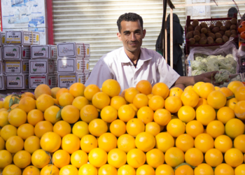 Governo publica preços mínimos para café, laranja, sisal e trigo na safra 2026/27