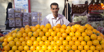 Governo publica preços mínimos para café, laranja, sisal e trigo na safra 2026/27