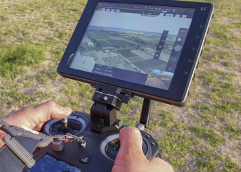 No campo, a IA ajuda a detectar pragas em lavouras e controlar cabeças de gado