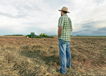 Pedidos de recuperação judicial no agro crescem 56% e batem recorde em 2025 8 Pedidos de recuperação judicial no agro crescem 56% e batem recorde em 2025