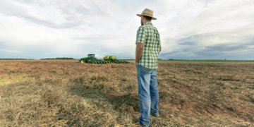 Pedidos de recuperação judicial no agro crescem 56% e batem recorde em 2025