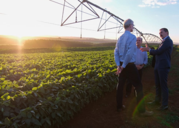 Cooperativas do agro ampliam investimentos e avançam sobre ativos de empresas em crise