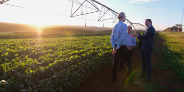 Cooperativas do agro ampliam investimentos e avançam sobre ativos de empresas em crise