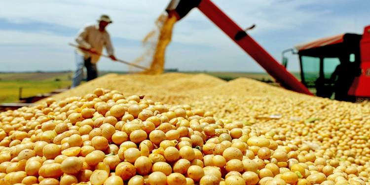 Agropecuária cresce 11,7% e puxa crescimento da economia em 2025