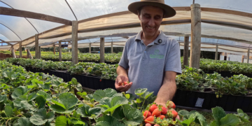 Projeto da Cresol fortalece produção agroecológica e beneficia comunidades do Brasil e Uruguai