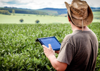 IA, dados e inovação colocam o agro no centro da revolução tecnológica