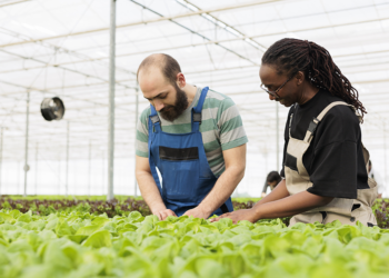 Crédito com recursos do BNDES para instituições cooperativas soma R$ 99,5 bi entre 2023 e 2025