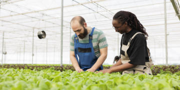 Crédito com recursos do BNDES para instituições cooperativas soma R$ 99,5 bi entre 2023 e 2025
