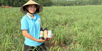 Programas de apoio fortalecem cooperativas vietnamitas geridas por mulheres 8 Programas de apoio fortalecem cooperativas vietnamitas geridas por mulheres