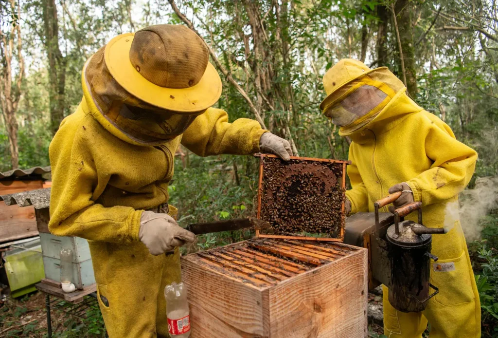 JM32C7GSARBZZLYDCOM6NKXCXU copiar