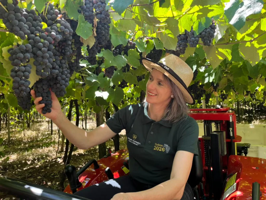 NQBVORZR2VDPRHWOZIFRMM3VLM copiar