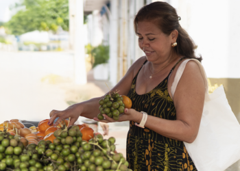 Entra em vigor lei que amplia garantias para financiamentos do Pronaf