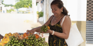 Entra em vigor lei que amplia garantias para financiamentos do Pronaf