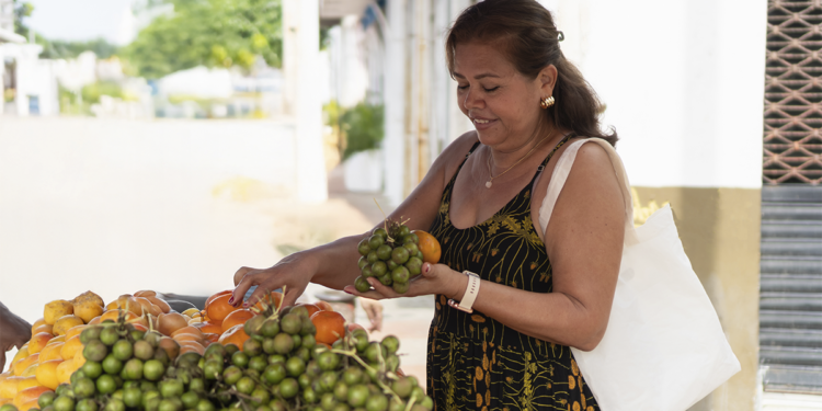 Entra em vigor lei que amplia garantias para financiamentos do Pronaf 1 Entra em vigor lei que amplia garantias para financiamentos do Pronaf