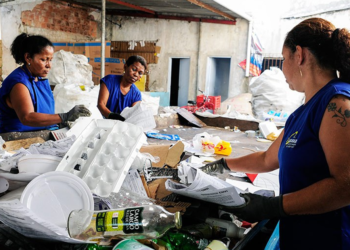 Cooperativa feminina mineira transforma resíduos em energia por meio de parceria com indústria de cimento