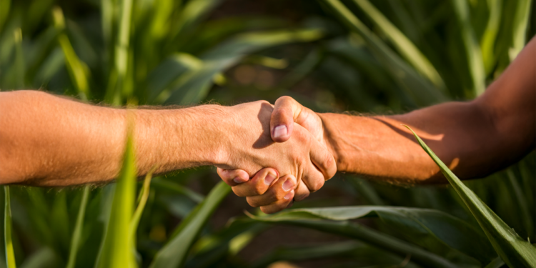 Crédito rural cresce 7% e já soma R$ 354 bilhões contratados