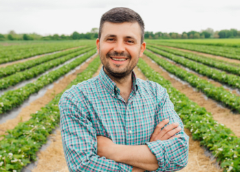 Preços ao produtor agropecuário caíram quase 10% no primeiro trimestre