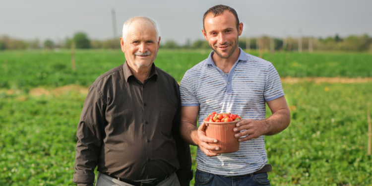 CMN autoriza financiamento de capital de giro para cooperativas enquadradas no Pronaf Agroindústria