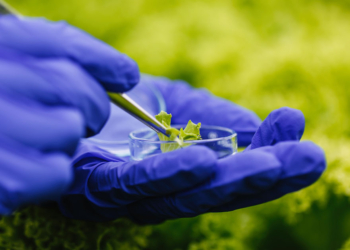 Paraná lança programa de inovação com R$ 20 milhões para projetos de genômica no agro