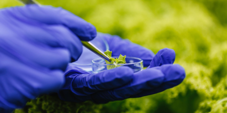 Paraná lança programa de inovação com R$ 20 milhões para projetos de genômica no agro