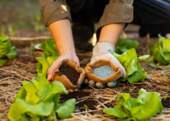 Exportações de insumos agrícolas cresceram 8,7% no primeiro trimestre do ano