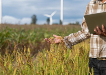 Governo federal propõe renegociar R$ 82 bilhões em dívidas de produtores
