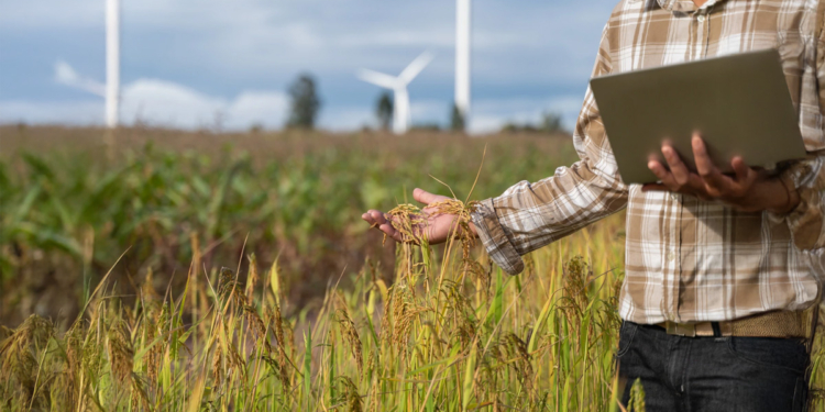 Governo federal propõe renegociar R$ 82 bilhões em dívidas de produtores