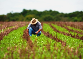 Cooperativismo debate o endividamento rural no país