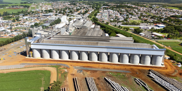 Cooperativa Capal amplia armazenagem para 745 mil toneladas e avança na colheita de verão no Paraná e SP