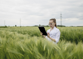Agro brasileiro será referência na 'segunda onda' da IA, diz especialista