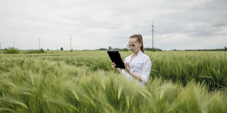 Agro brasileiro será referência na 'segunda onda' da IA, diz especialista