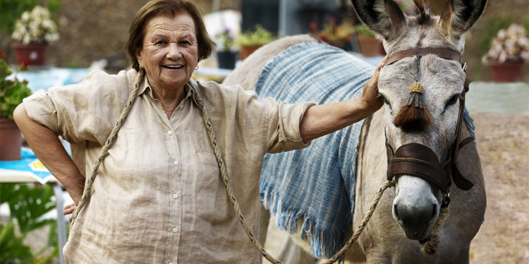 Meio rural é estratégico para desenvolvimento sustentável da América Latina e Caribe, aponta relatório do CAF