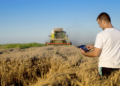 Cooperativa CACB adota tecnologia para reduzir dependência de insumos importados no cultivo de trigo