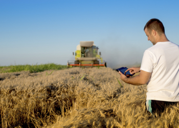 Cooperativa CACB adota tecnologia para reduzir dependência de insumos importados no cultivo de trigo