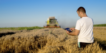 Cooperativa CACB adota tecnologia para reduzir dependência de insumos importados no cultivo de trigo